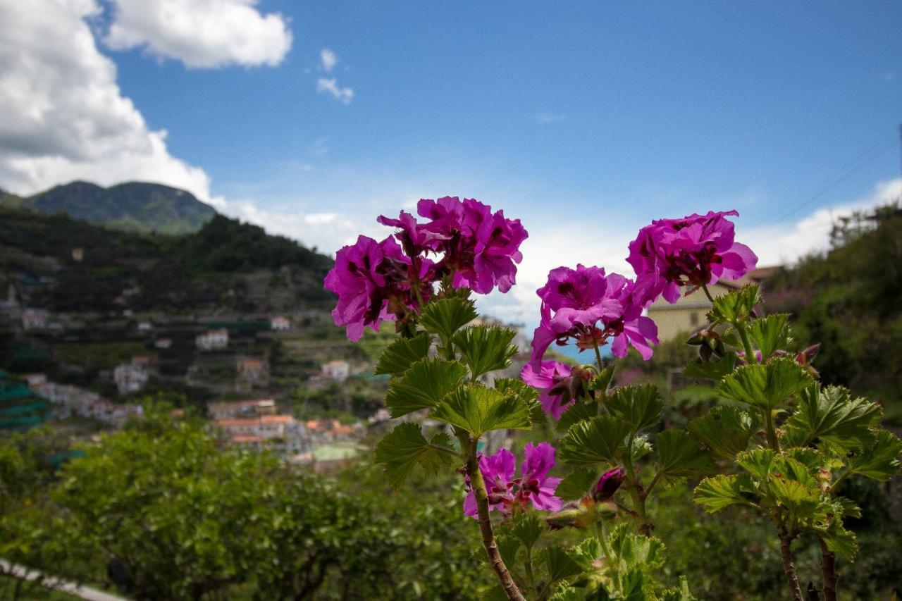 Villa La Zagara Minori Buitenkant foto