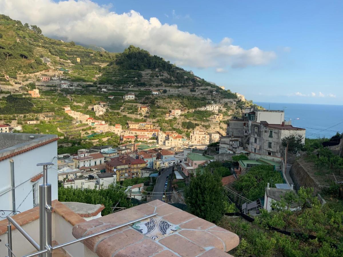 Villa La Zagara Minori Buitenkant foto